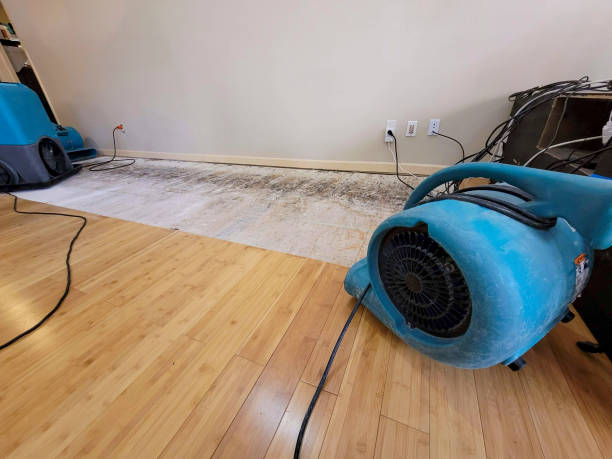Professional Ceiling Water Damage Repair technician working in Howard, OH